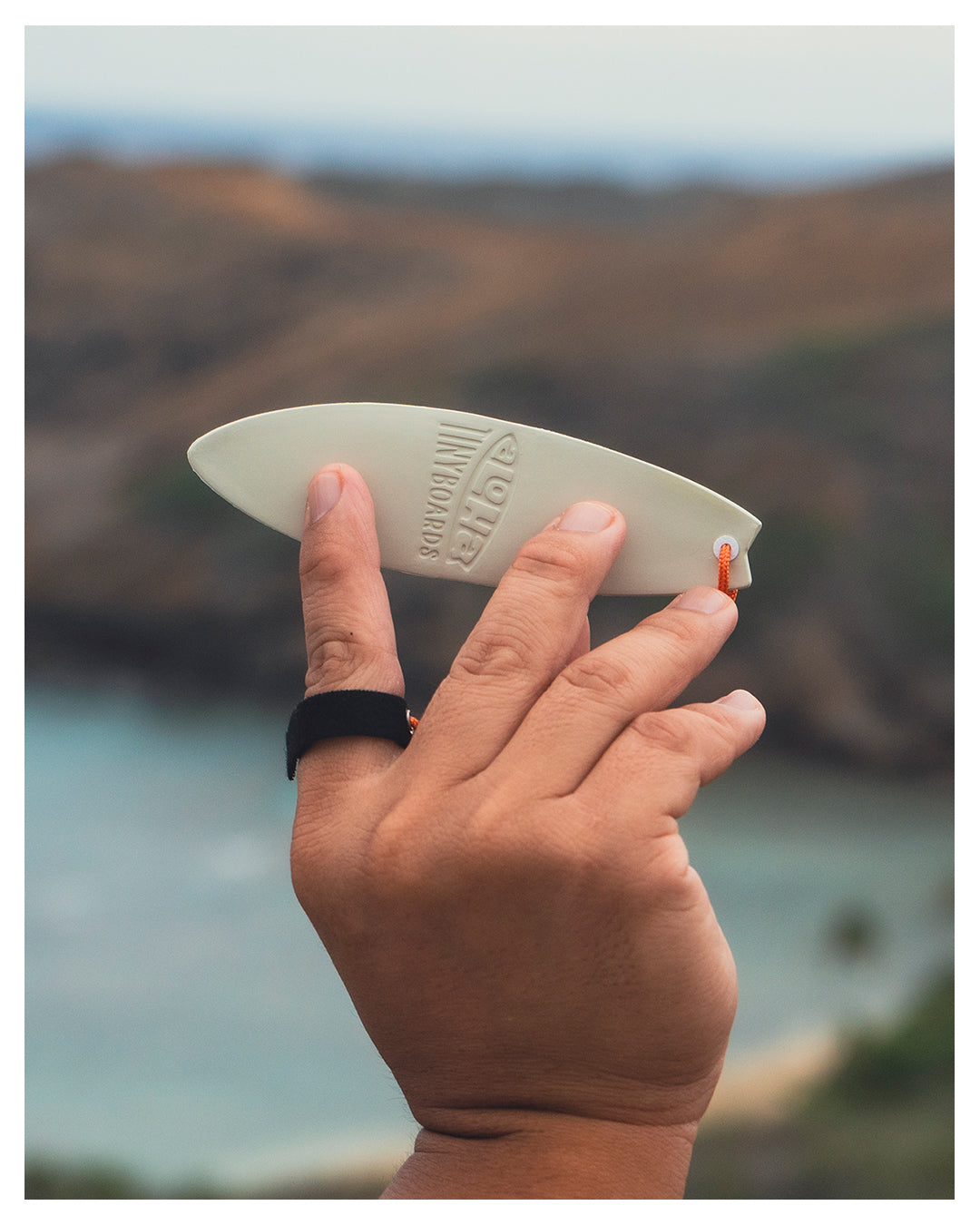 Aloha Tinyboard™