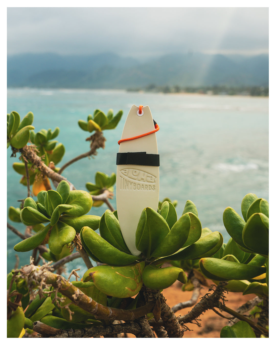Aloha Tinyboard™