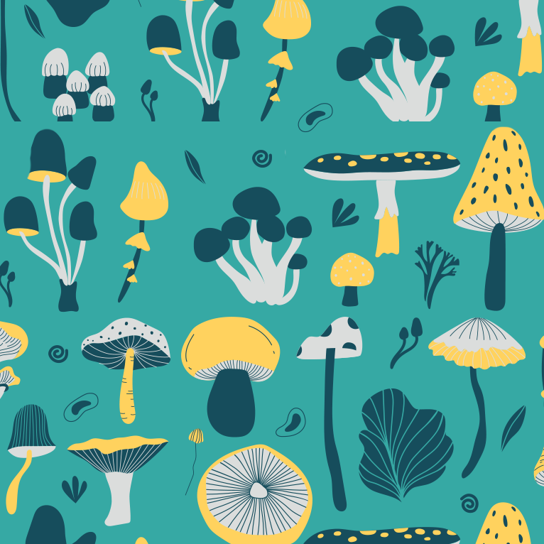Close-up of Aloha Tinyboard sticker decal “Mushrooms” detailing the white and yellow mushroom illustrations on teal background.