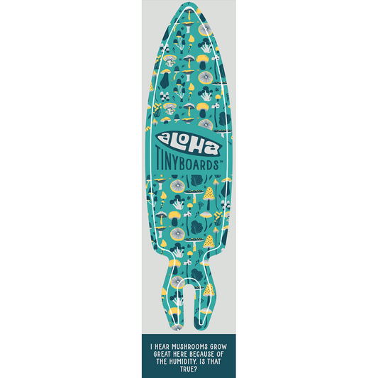 Aloha Tinyboard mushrooms sticker decal with white and yellow mushroom illustrations on teal, created by a local surfer featuring a Story from the Lineup: I hear mushrooms grow great here because of the humidity. Is that true?